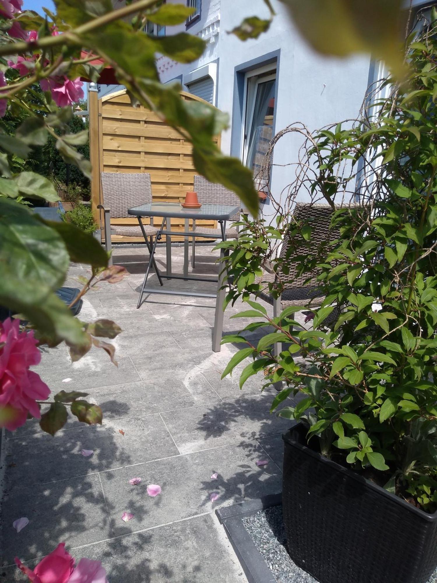 Fewo 3 Mit Terrasse, Box-Bett, Kl Extra Zimmer, Tresor Dahme  Exterior foto